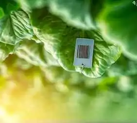 RFID in Agriculture